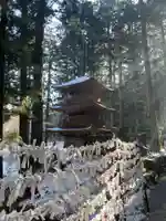 宝積山光前寺のおみくじ