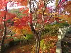 當麻寺の自然