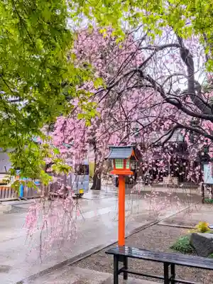 猿田彦神社(東京都)