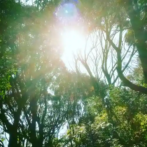 沼尾神社の自然