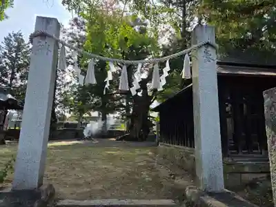中尾神社(山梨県)