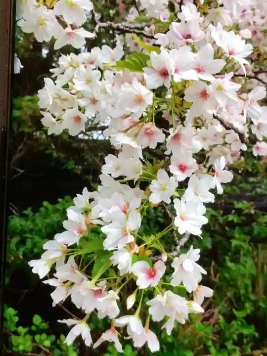 福蔵院(東京都)