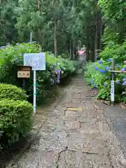 良向寺の建物その他