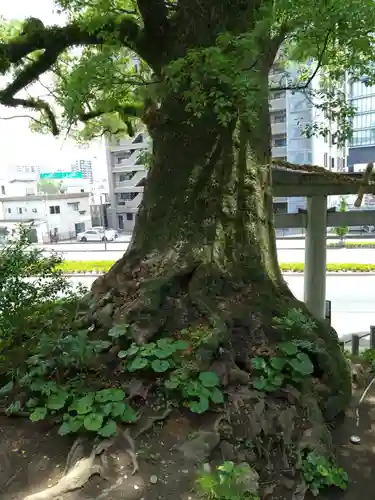 北岡神社(熊本県)