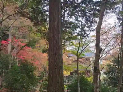 高源寺(兵庫県)