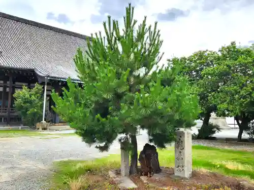 姫路船場別院本徳寺の建物その他