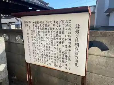 秋葉神社(東京都)
