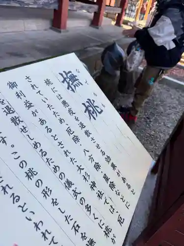 大杉神社の御朱印