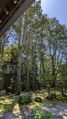 明暗寺(京都府)