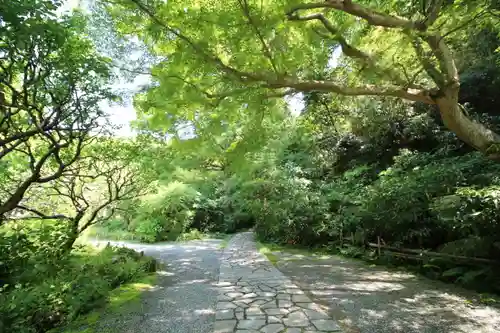瑞泉寺(神奈川県)