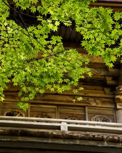 泰寧寺(群馬県)