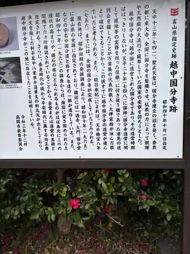 国分寺(富山県)