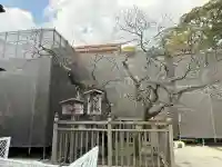 太宰府天満宮の{uncategorized: "未分類", other: "その他", undefined: "問題あり", building: "その他建物", grave: "お墓", sacred_gate: "鳥居", guardian: "狛犬", statue: "像", buddha: "仏像", history: "歴史", nature: "自然", garden: "庭園", animal: "動物", pagoda: "塔", temizu: "手水舎", mountain_gate: "山門・神門", sanctuary: "本殿・本堂", subordinate: "末社・摂社", art: "芸術", scenery: "景色", jizo: "地蔵", ema: "絵馬", goshuin: "御朱印", omikuji: "おみくじ", items: "授与品その他", amulet: "お守り", goshuincho: "御朱印帳", eats: "食事", festival: "お祭り", votive_dance: "神楽", shichigosan: "七五三参", wedding: "結婚式", experience: "体験その他", initially: "初詣", around: "周辺", anti_infection: "感染症対策"}