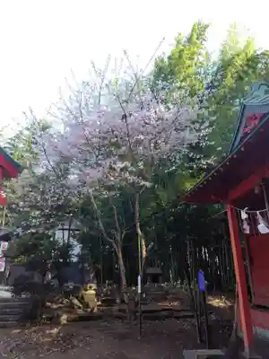 神炊館神社 ⁂奥州須賀川総鎮守⁂(福島県)