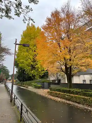 寛永寺(根本中堂)の自然