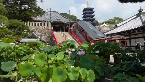 中山寺(兵庫県)