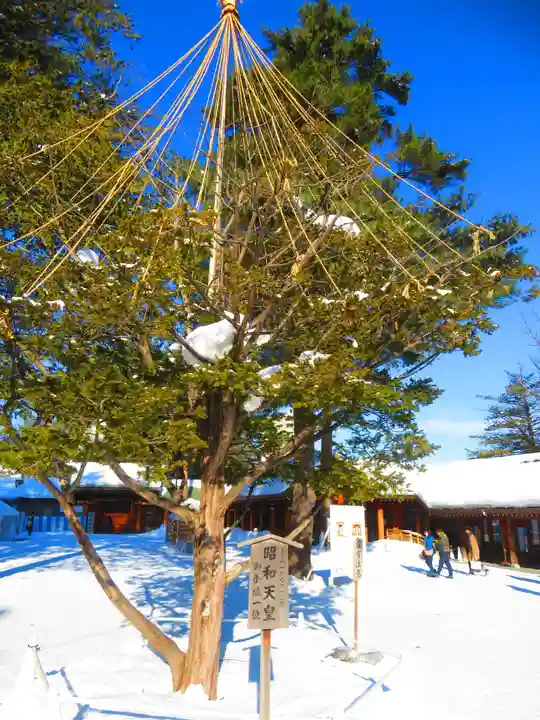 北海道神宮(北海道)
