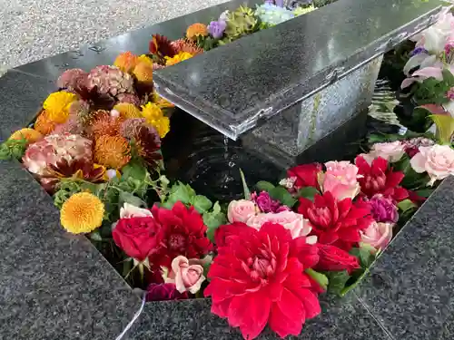 新琴似神社の手水