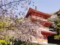 清水寺の塔