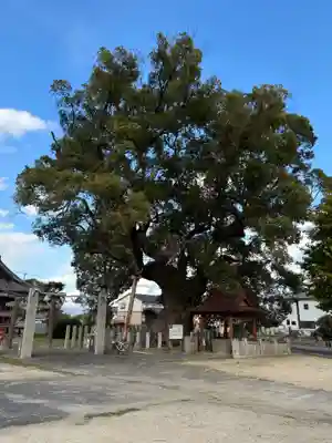 王子神社(徳島県)