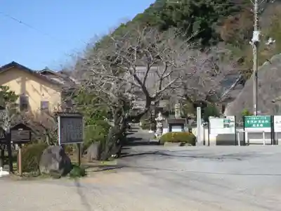 眞珠院(静岡県)