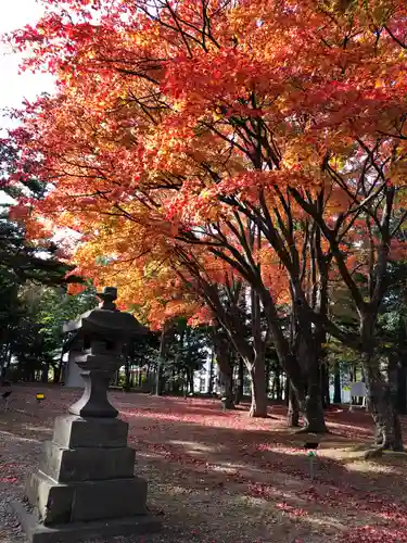 北広島市総鎮守　廣島神社の自然