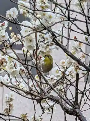 銀世界稲荷神社(東京都)