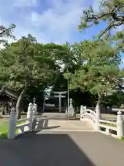 亀田八幡宮の鳥居