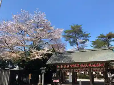櫻木神社の山門・神門