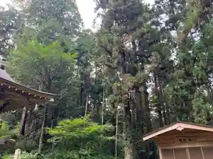 大宮温泉神社(栃木県)(2023年07月20日(木) 08時00分36秒投稿)