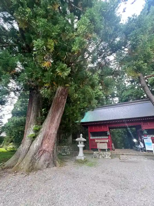 羽黒山五重塔(出羽三山神社)の{uncategorized: "未分類", other: "その他", undefined: "問題あり", building: "その他建物", grave: "お墓", sacred_gate: "鳥居", guardian: "狛犬", statue: "像", buddha: "仏像", history: "歴史", nature: "自然", garden: "庭園", animal: "動物", pagoda: "塔", temizu: "手水舎", mountain_gate: "山門・神門", sanctuary: "本殿・本堂", subordinate: "末社・摂社", art: "芸術", scenery: "景色", jizo: "地蔵", ema: "絵馬", goshuin: "御朱印", omikuji: "おみくじ", items: "授与品その他", amulet: "お守り", goshuincho: "御朱印帳", eats: "食事", festival: "お祭り", votive_dance: "神楽", shichigosan: "七五三参", wedding: "結婚式", experience: "体験その他", initially: "初詣", around: "周辺", anti_infection: "感染症対策"}