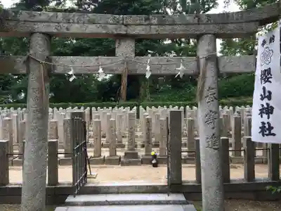 櫻山神社(山口県)