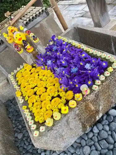 くろ谷 金戒光明寺の手水舎