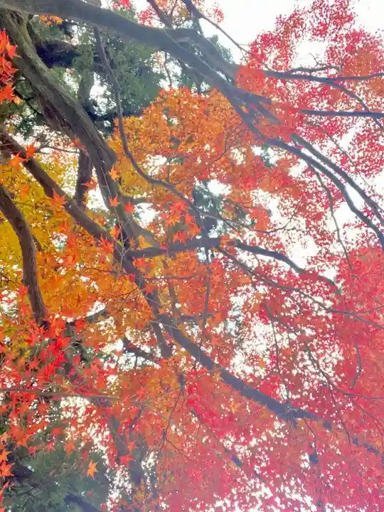 月橋院(京都府)