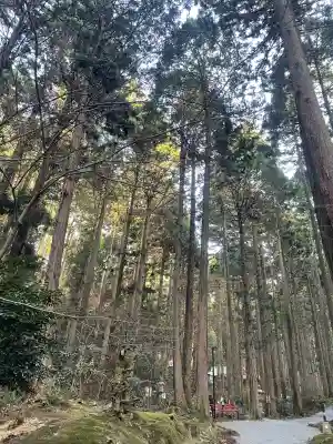 御岩神社の{uncategorized: "未分類", other: "その他", undefined: "問題あり", building: "その他建物", grave: "お墓", sacred_gate: "鳥居", guardian: "狛犬", statue: "像", buddha: "仏像", history: "歴史", nature: "自然", garden: "庭園", animal: "動物", pagoda: "塔", temizu: "手水舎", mountain_gate: "山門・神門", sanctuary: "本殿・本堂", subordinate: "末社・摂社", art: "芸術", scenery: "景色", jizo: "地蔵", ema: "絵馬", goshuin: "御朱印", omikuji: "おみくじ", items: "授与品その他", amulet: "お守り", goshuincho: "御朱印帳", eats: "食事", festival: "お祭り", votive_dance: "神楽", shichigosan: "七五三参", wedding: "結婚式", experience: "体験その他", initially: "初詣", around: "周辺", anti_infection: "感染症対策"}