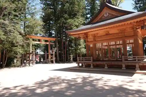 穂高神社本宮の建物その他