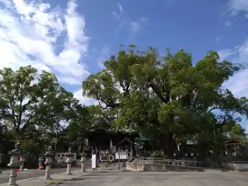 下庄八幡神社の建物その他