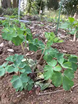 息栖神社の景色