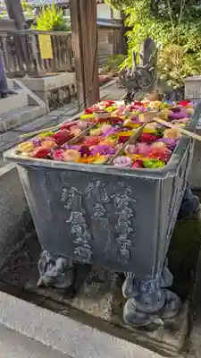 柳谷観音　楊谷寺(京都府)