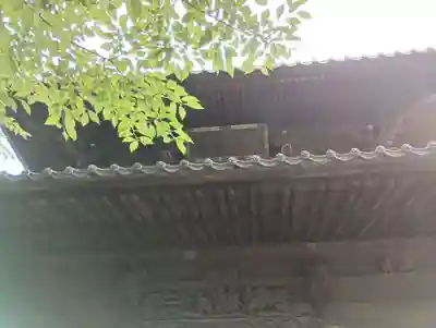 吉祥寺(東京都)