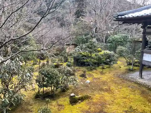 西明寺の庭園