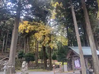 天日陰比咩神社(石川県)
