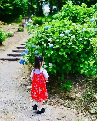 浄土寺(兵庫県)