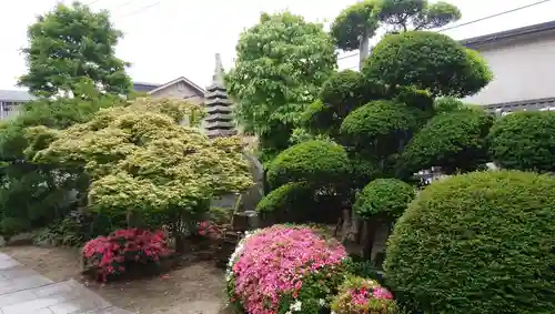 金藏院の庭園