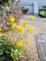 浄土寺(兵庫県)