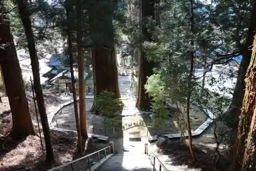 夏井諏訪神社の自然