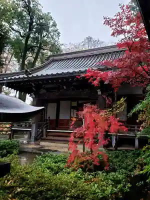 妙法寺(東京都)