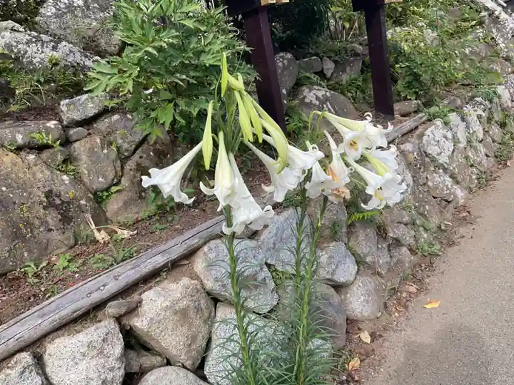 瑞泉寺(山梨県)