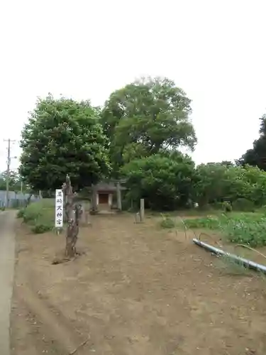 尾崎天神宮(千葉県)