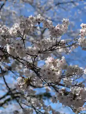 日龍峯寺(高澤観音)(美濃清水)の{uncategorized: "未分類", other: "その他", undefined: "問題あり", building: "その他建物", grave: "お墓", sacred_gate: "鳥居", guardian: "狛犬", statue: "像", buddha: "仏像", history: "歴史", nature: "自然", garden: "庭園", animal: "動物", pagoda: "塔", temizu: "手水舎", mountain_gate: "山門・神門", sanctuary: "本殿・本堂", subordinate: "末社・摂社", art: "芸術", scenery: "景色", jizo: "地蔵", ema: "絵馬", goshuin: "御朱印", omikuji: "おみくじ", items: "授与品その他", amulet: "お守り", goshuincho: "御朱印帳", eats: "食事", festival: "お祭り", votive_dance: "神楽", shichigosan: "七五三参", wedding: "結婚式", experience: "体験その他", initially: "初詣", around: "周辺", anti_infection: "感染症対策"}